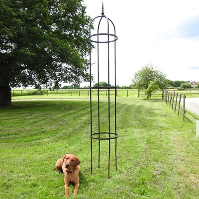 Lot 261 - A large black painted iron plant obelisk,...