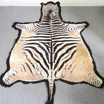 Lot 299 - A vintage zebra skin rug, with a fabric...