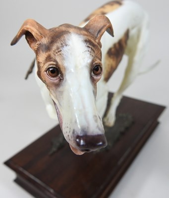Lot 118 - An Albany Fine China limited edition model of a greyhound