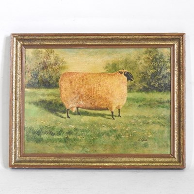 Lot 418 - J Giles, a prize sheep, signed oil on board,...