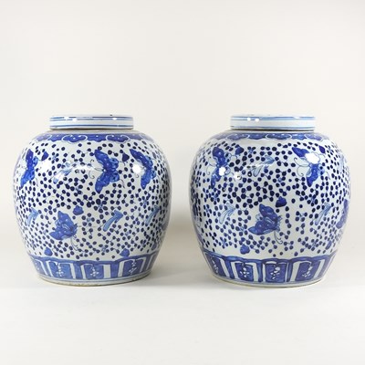 Lot 214 - A pair of Chinese porcelain blue and white...