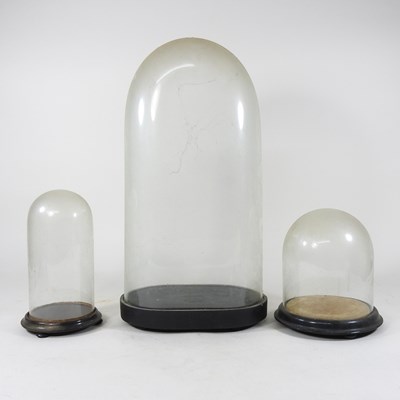 Lot 132 - A 19th century glass dome, 46cm high, together...