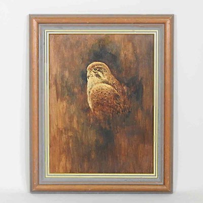 Lot 441 - English school, a falcon, oil on board, 39 x 29cm
