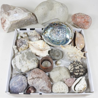 Lot 383 - A small collection of minerals, rock samples...