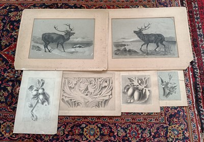 Lot 109 - A collection of unframed charcoal studies, to...