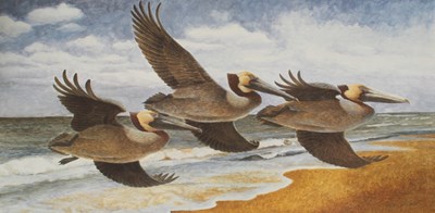 Lot 35 - John Ruthven (1924-2020), Coastal Flight Brown...