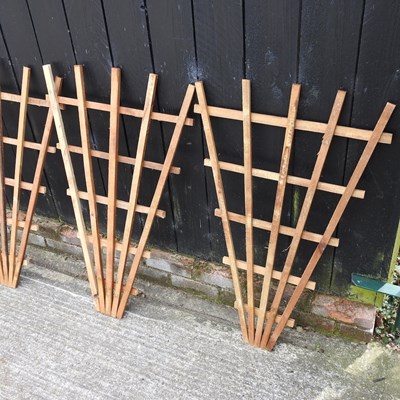 Lot 340 - A set of four fan shaped garden trellis