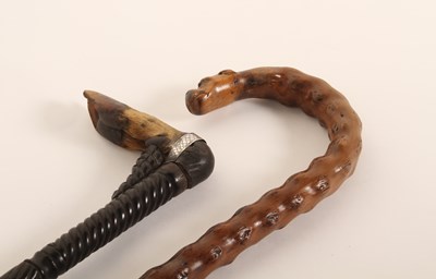 Lot 239 - An early 20th century taxidermy novelty...