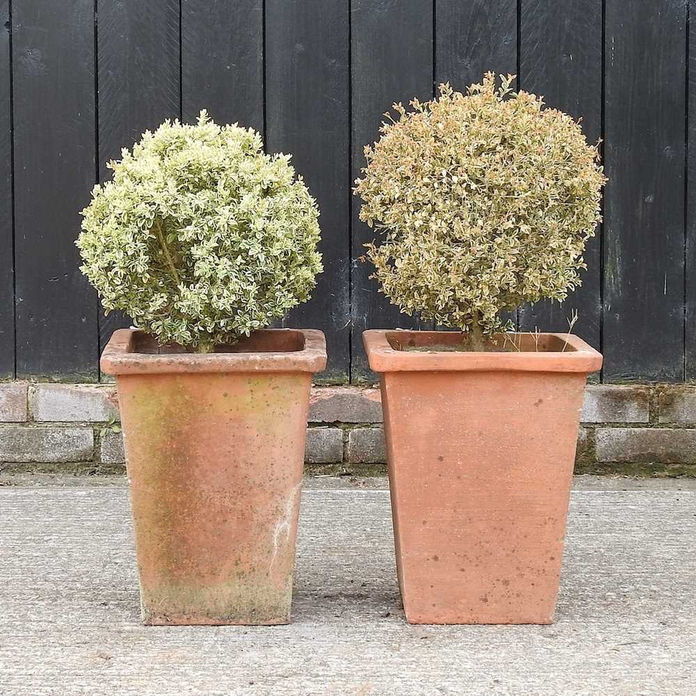 Lot 310 - A pair of square terracotta pots