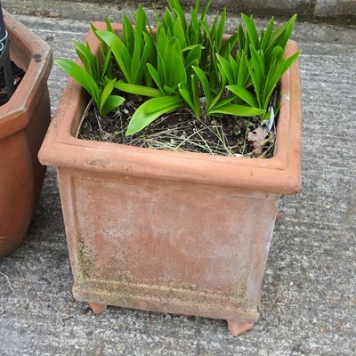 Lot 310 - A pair of square terracotta pots