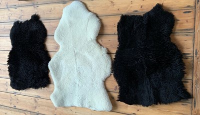 Lot 589 - A collection of three black and white sheep...