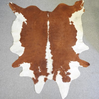 Lot 393 - A large Hereford breed cow hide