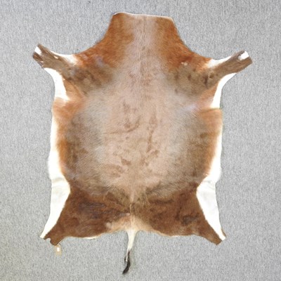 Lot 720 - A Deer hide