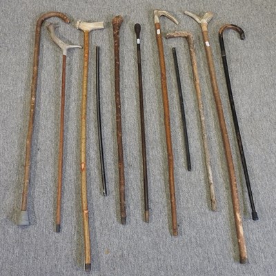 Lot 246 - A collection of various walking sticks