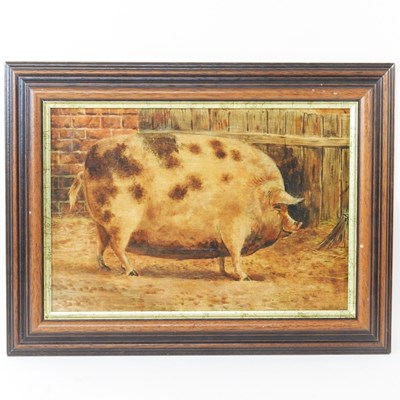 Lot 19 - English school, a prized pig in a sty, oil on...
