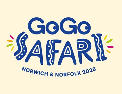 Lot 38 - SURPRISE LOT - NCFC Mini G