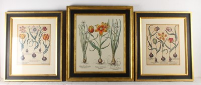 Lot 622 - After Basil Besler (German 1561-1629), Tulipa...