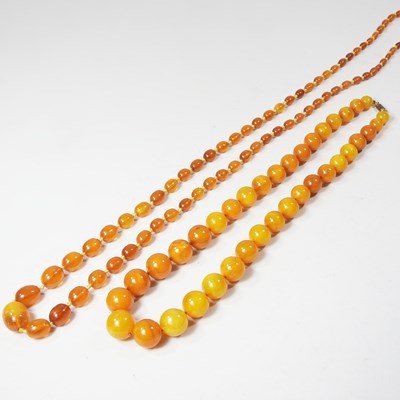 Lot 38 - A butterscotch amber coloured graduated bead...