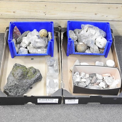 Lot 646 - A collection of rock samples, stones and fossils