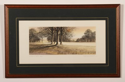 Lot 365 - Kathleen Caddick (British, b. 1937), Woodland...