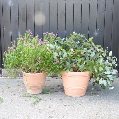 Lot 118 - A composite garden pot, 48cm high, together...