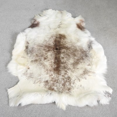 Lot 60 - A reindeer skin rug, 146 x 103cm