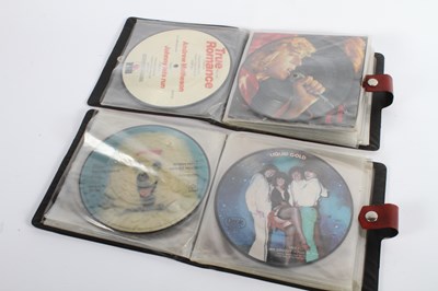 Lot 333 - A collection of vinyl picture disc records, in...