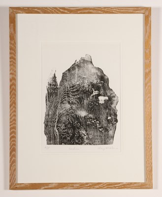 Lot 245 - Rory McShane, 'Section', woodblock, artist's...