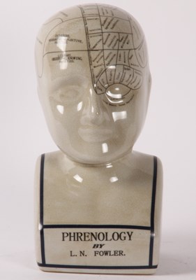 Lot 554 - A modern pottery phrenology head