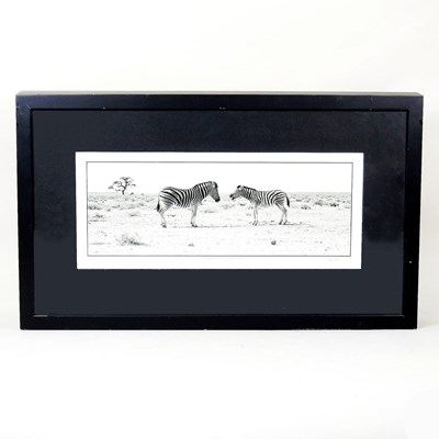Lot 23 - Christopher Rimmer, b1963, Zebras at Etosha...