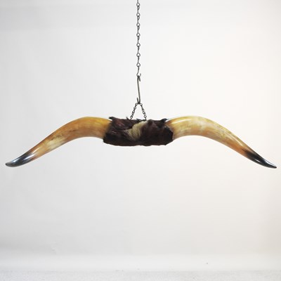 Lot 88 - A pair of taxidermy bull horns, 89cm wide