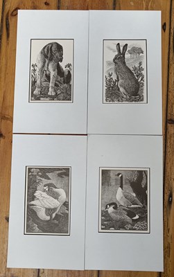 Lot 576 - Charles Frederick Tunnicliffe OBE RA (British,...