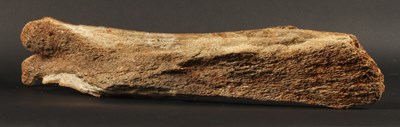 Lot 232 - An ancient partial mammoth bone