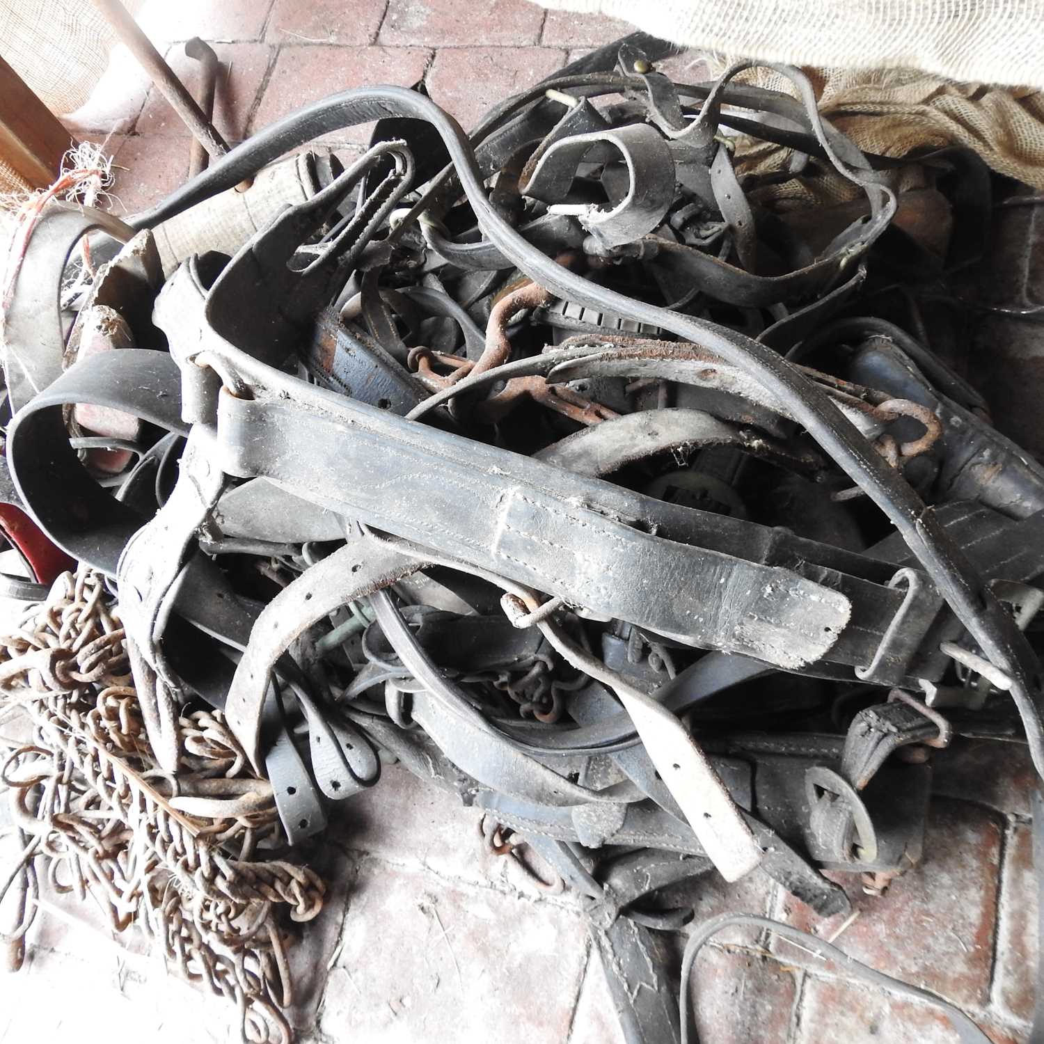 Lot 342 - A collection of heavy horse tack