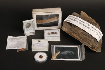 Lot 224 - A fossilised Hadrosaur bone fragment, together...