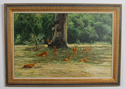 Lot 347 - Michael Kitchen-Hurle, Impalas in an African...