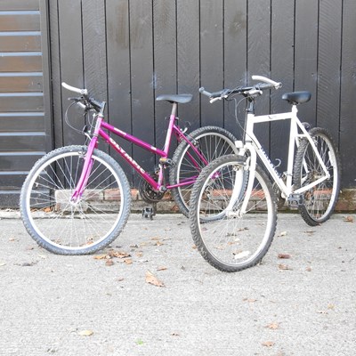 Lot 405 - A Raleigh Apline mens bike, together with a...