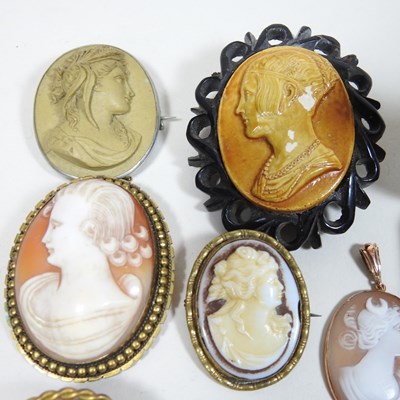 Lot 16 - A collection of various cameo brooches