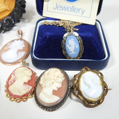 Lot 16 - A collection of various cameo brooches