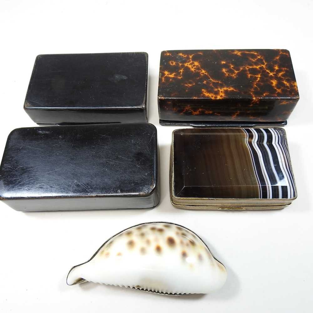 Shell Snuff Box England Lot 37 - A 19th century cowrie shell snuff box
