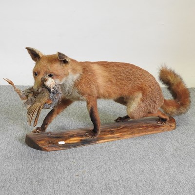 Lot 562 - A taxidermy of a fox holding a bird