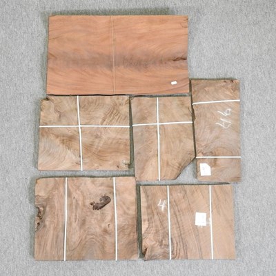 Lot 337 - A collection of loose veneers