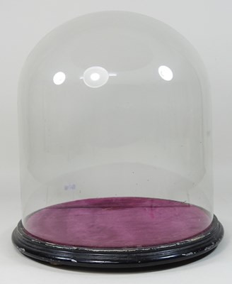 Lot 13 - A Victorian glass dome
