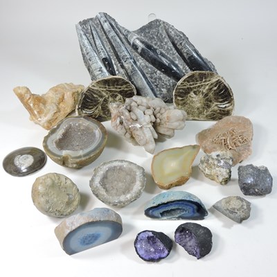 Lot 63 - A collection of rocks and minerals