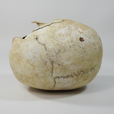 Lot 294 - A partial human skull