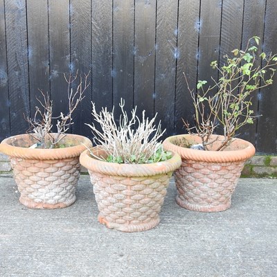 Lot 306 - Three terracotta garden planters