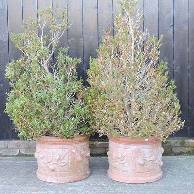 Lot 300 - DAY TWO - A pair of circular terracotta planters