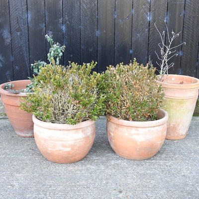 Lot 327 - A pair of terracotta garden pots