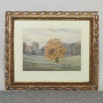 Lot 252 - Edith Martineau AWRS, 1842-1909