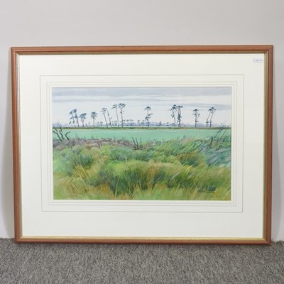 Lot 501 - Lillias August, b1955